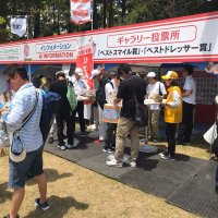 ほけんの窓口レディース2019
