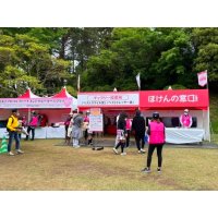 ほけんの窓口レディース2022
